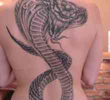 Стойности на татуировките: змии и техните символи