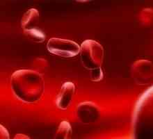 Знаете ли коя кръвна група е подходяща за всички?