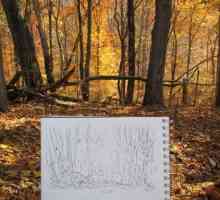 Златна есен: как да нарисувате молив, бои, гваш