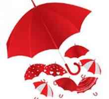 Чадър марка: предимства и недостатъци