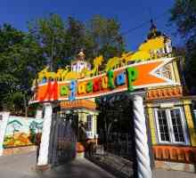 Зоопарк "Мадагаскар" (Нижни Новгород): особености и жители