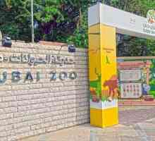 Зоопарк в Дубай: как да стигнете дотам? Отзиви