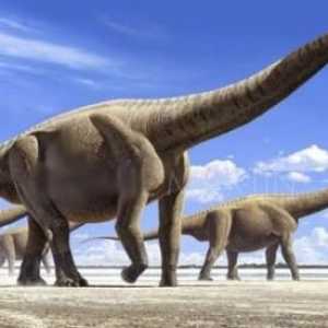 Знаете ли кой е най-големият динозавър в света?