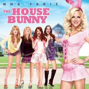 Актьори "Момчетата харесват това" (House Bunny): Анна Фарис, Румер Уилис и др