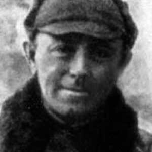 Александър Анисимов, пилот: биографията