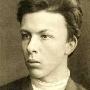 Александър Улянов - революционер-Народоволци, брат на Ленин. Биография, революционна дейност