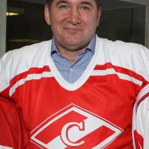 Александър Викторович Кожевникав, хокеен играч: биография, спортни постижения