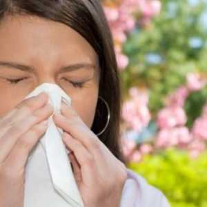 Алергия: симптоми при възрастни