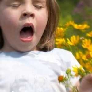 Алергии в детето и основните му прояви