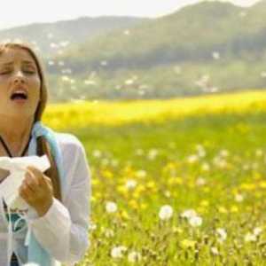 Алергии през август: причини и лечение
