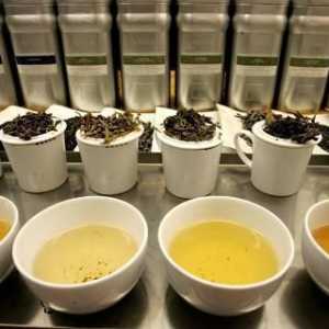 "Althouse" (чай): видове и характеристики