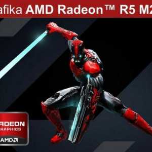 Графичната карта AMD Radeon R5 M230