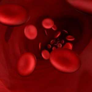 Кръвен тест за биохимия: декодиране на резултата