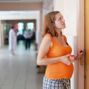 Анализ на урината по време на бременност Nechiporenko. Ежедневен анализ на урината