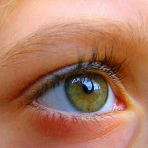 Ангиопатия на ретината на окото: причини, симптоми и методи на лечение