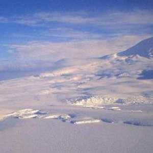 Антарктическа пустиня: природната зона