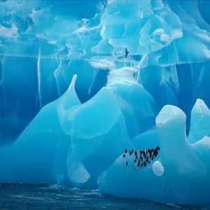Антарктида е открита от експедиция, ръководена от морските лица Белингсхаузен и Лазарев. Историята…