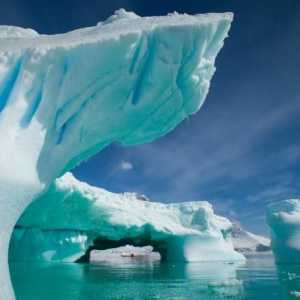 Антарктида е ледът. Какво друго не знаехте за Антарктида