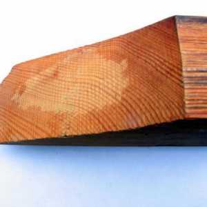 Antiseptic for wood: клиентски отзиви. Как да изберем антисептично средство за дърво, което е…