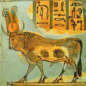 Апис - свещеният бик на Египет