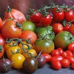 Апетитни домати: ползата и вредата от "златната ябълка"
