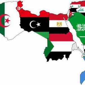 Арабските страни. Палестина, Йордания, Ирак