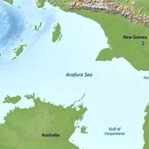 Къде е Арафуро море? Описание, функции