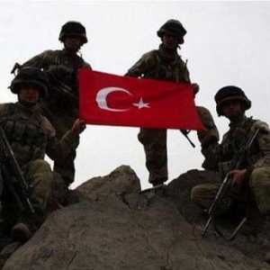 Турска армия: сила, въоръжение, снимка