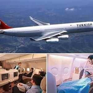 Авиокомпанията "Turkish Airlines" е един от най-старите превозвачи на Brilliant Port