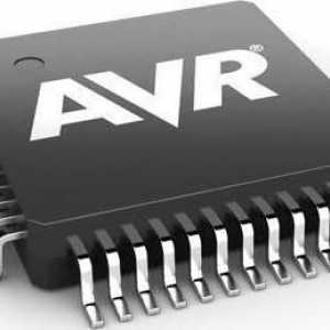 Програмиране на AVR. Програмиране на микроконтролери AVR за начинаещи