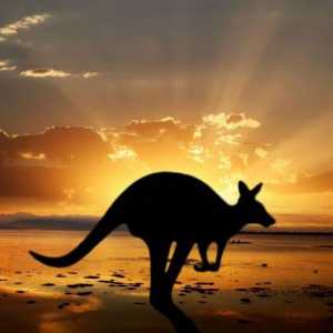 Австралия, интересни факти - най-високите планини, най-голямата река и най-опасните животни в…