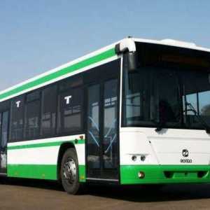 Автобус GOLAZ 5251, 6228: спецификации и снимки