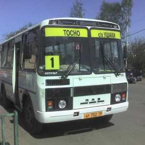 Автобус PAZ-3205 и неговата модификация PAZ-32053