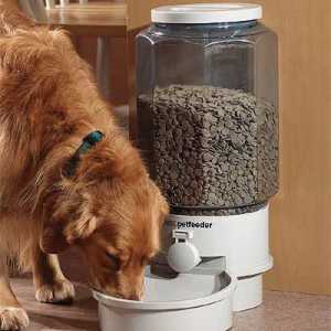 Автоматични хранилки за кучета: характеристики на устройството и работа. Как да си направите…