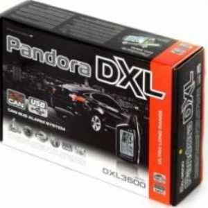 Автомобилна аларма Pandora DXL 3500: описание, спецификации и прегледи