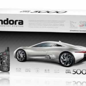 Авто аларма Pandora 5000: инсталация, цена, ревюта