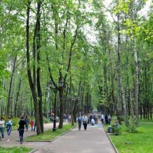 Babushkinsky парк на културата и почивка в Москва - ние имаме почивка с цялото семейство! Как да…