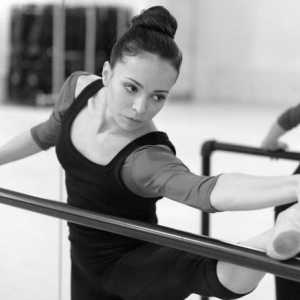Балерина Диана Вишнева: биография, дейности, награди и личен живот. Роман Абрамович и Даяна Вишнева