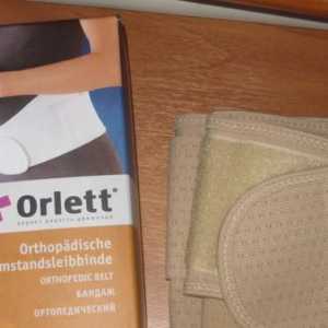 Bandages`Orlett: видове и характеристики на моделите