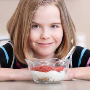 Жар за yogurtnitsy: основните разлики, плюсове и минуси, как да избере заместник.