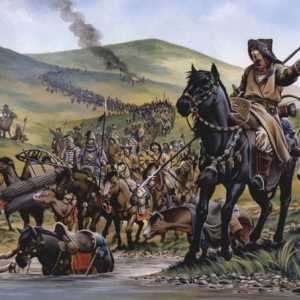 Баскирските въстания. Башкирско въстание 1705-1711: причини, резултати