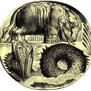 Хипопотам: митология, етимология, сортове