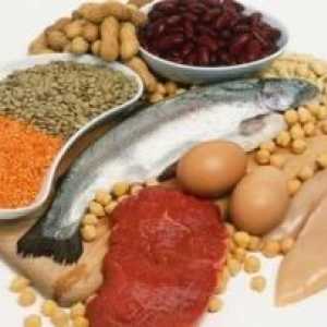 Протеинова храна е каква категория продукти? Неговата полза и вреда