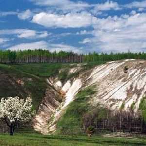 "Белогорий", резерват. Държавен природен резерват "Белогорие" (регион Белгород)