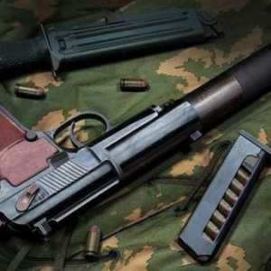 Silent пистолет PB: преглед, спецификации и отзиви