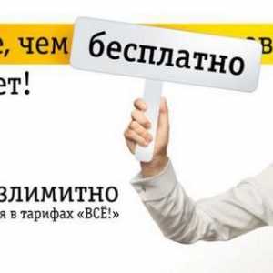 "Beeline" - Интернет в роуминг в Русия и в чужбина. Как да свържете интернет в роуминга…