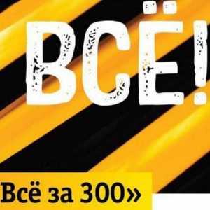 Beeline, тарифата "Всички за 300": рецензии, описание, връзка