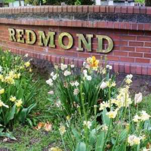 Blender `Redmond`: отзиви. Спецификации, цени, снимки
