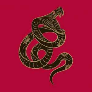 Близнаци-змия: човек. Неговият характер и съвместимостта в отношенията