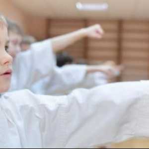 Бойни изкуства на Айкидо: за деца (рецензии). Какво е най-добро за дете - карате или айкидо?